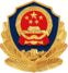 Police Record